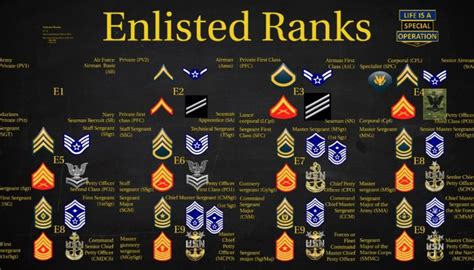 Us Military All Branches Enlisted Ranks Explained Vrogue Us Military All Branches Enlisted Ranks Explained Vrogue