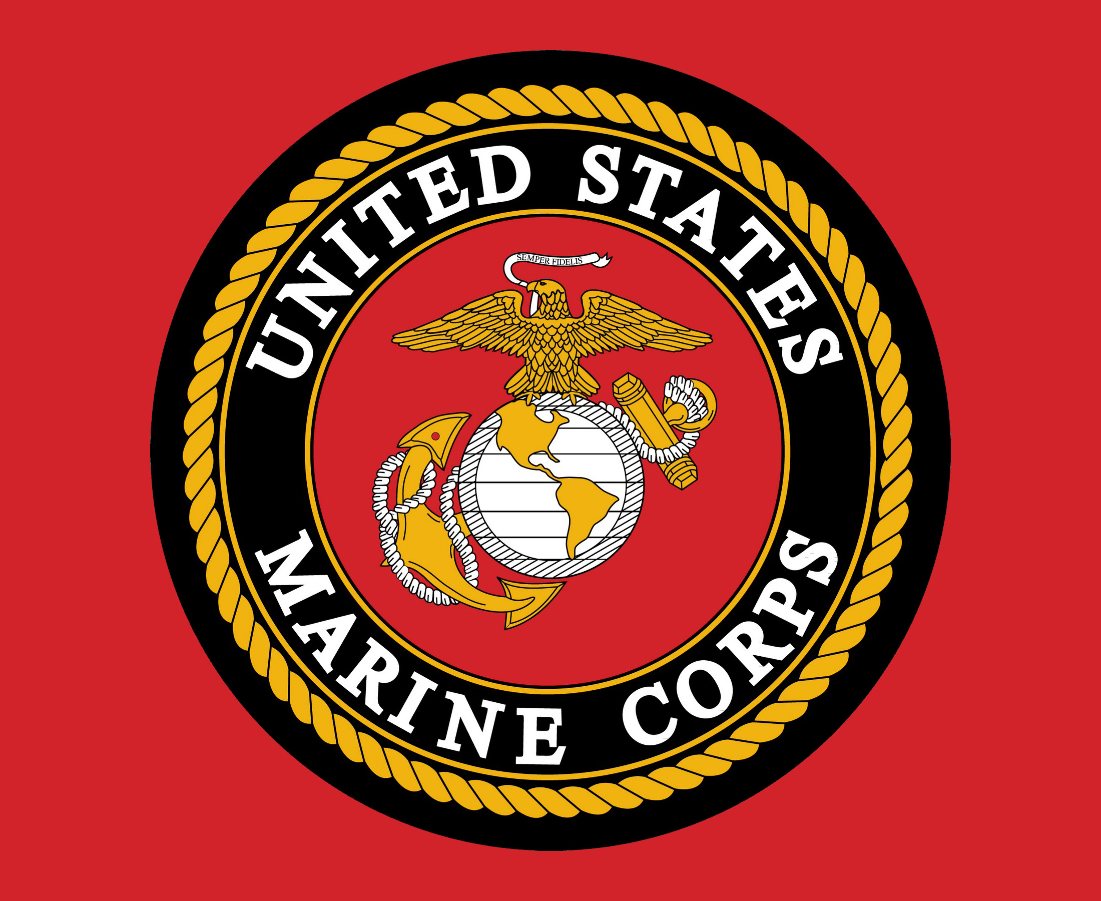 Usmc Resume Template Usmc Resume Template