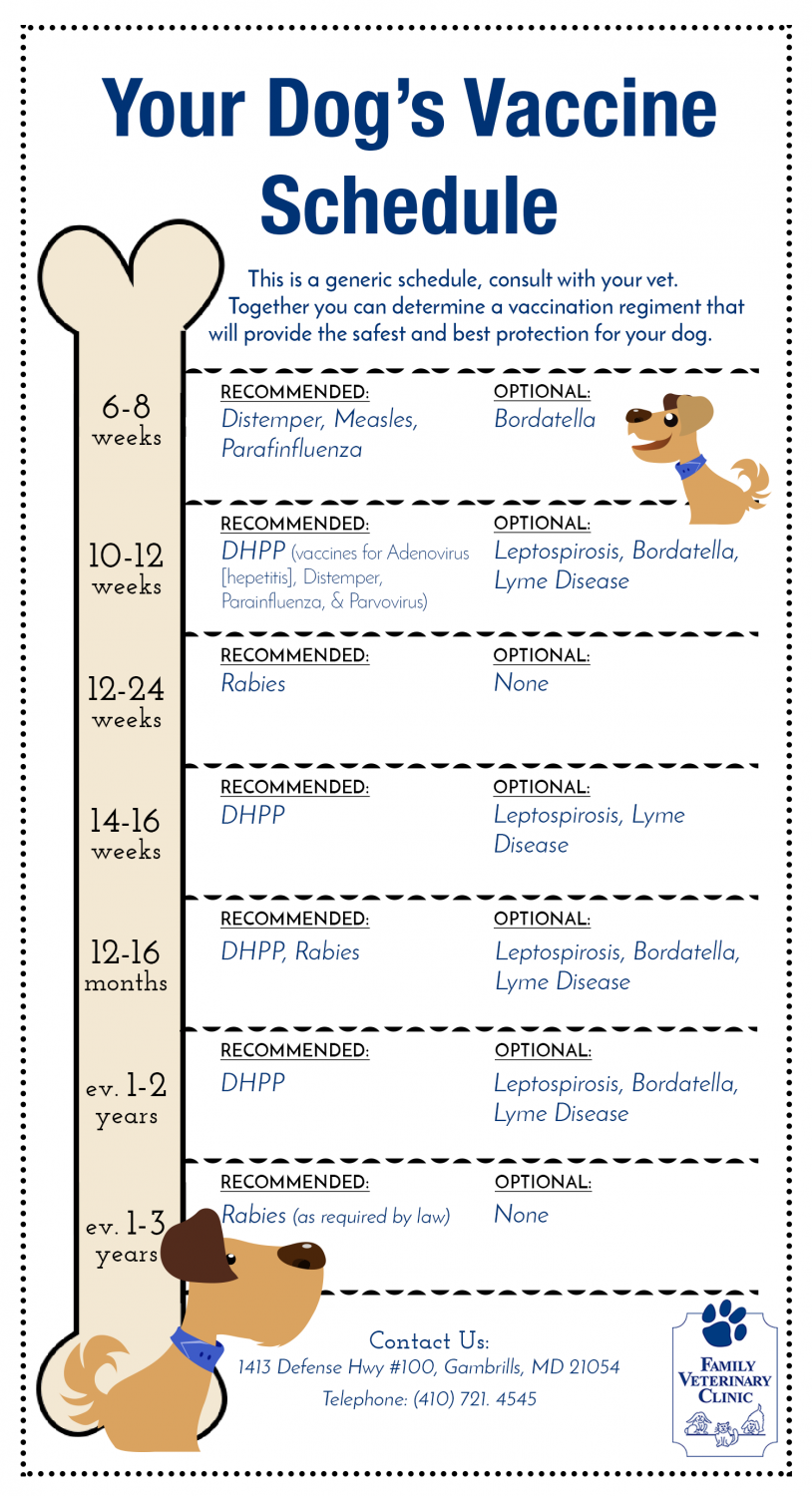 Vaccination Chart For Dogs Vaccination Chart For Dogs