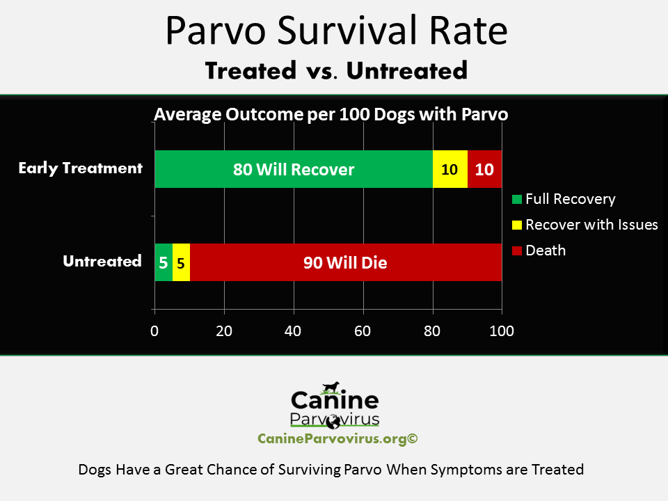 5 Parvo Vaccination Tips