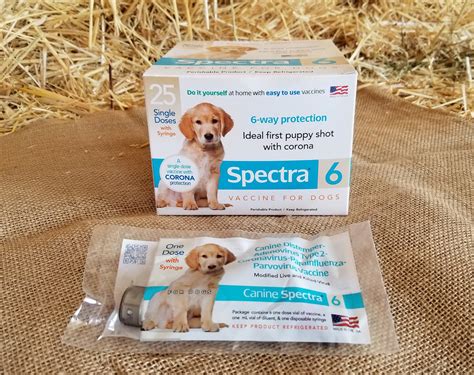 Vaccine Dog Vaccine Spectra 6 Puppy Shot With Corona Protection 1