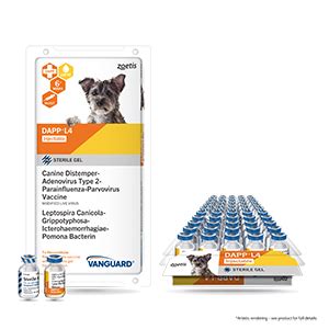 Vanguard Dapp L4 Cv For Animal Healthcare Professionals Vanguard Dapp L4 Cv For Animal Healthcare Professionals