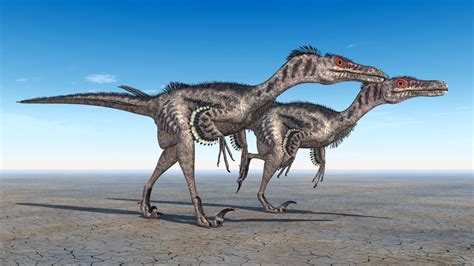 Velociraptor Steckbrief 8 Merkmale Des Raptors Schreiben Net Velociraptor Steckbrief 8 Merkmale Des Raptors Schreiben Net