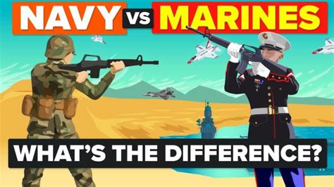 Video Infographic Us Navy Vs Us Marines What S The Difference How Video Infographic Us Navy Vs Us Marines What S The Difference How