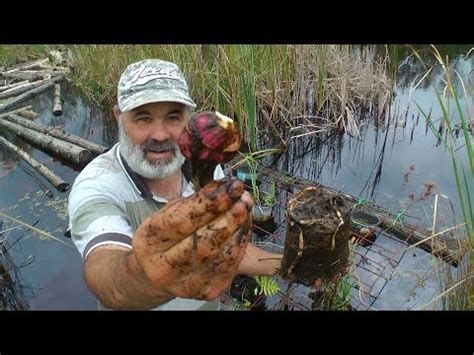 Wapato Wild Food Youtube