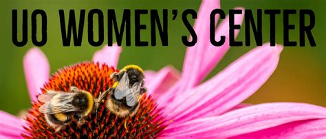 Website Banner 26D8fzu Uo Women Amp 39 S Center Website Banner 26D8fzu Uo Women Amp 39 S Center