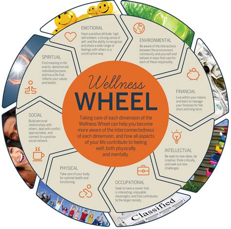 Wellness Wheel Wellness At Unh Wellness For College Students
