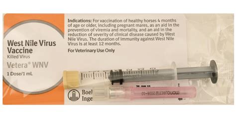 West Nile Virus Vaccine