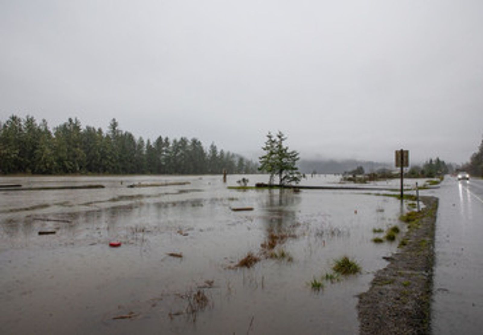Wettest Seattle Day This Decade Triggers Urban Flooding Problems Kval Wettest Seattle Day This Decade Triggers Urban Flooding Problems Kval
