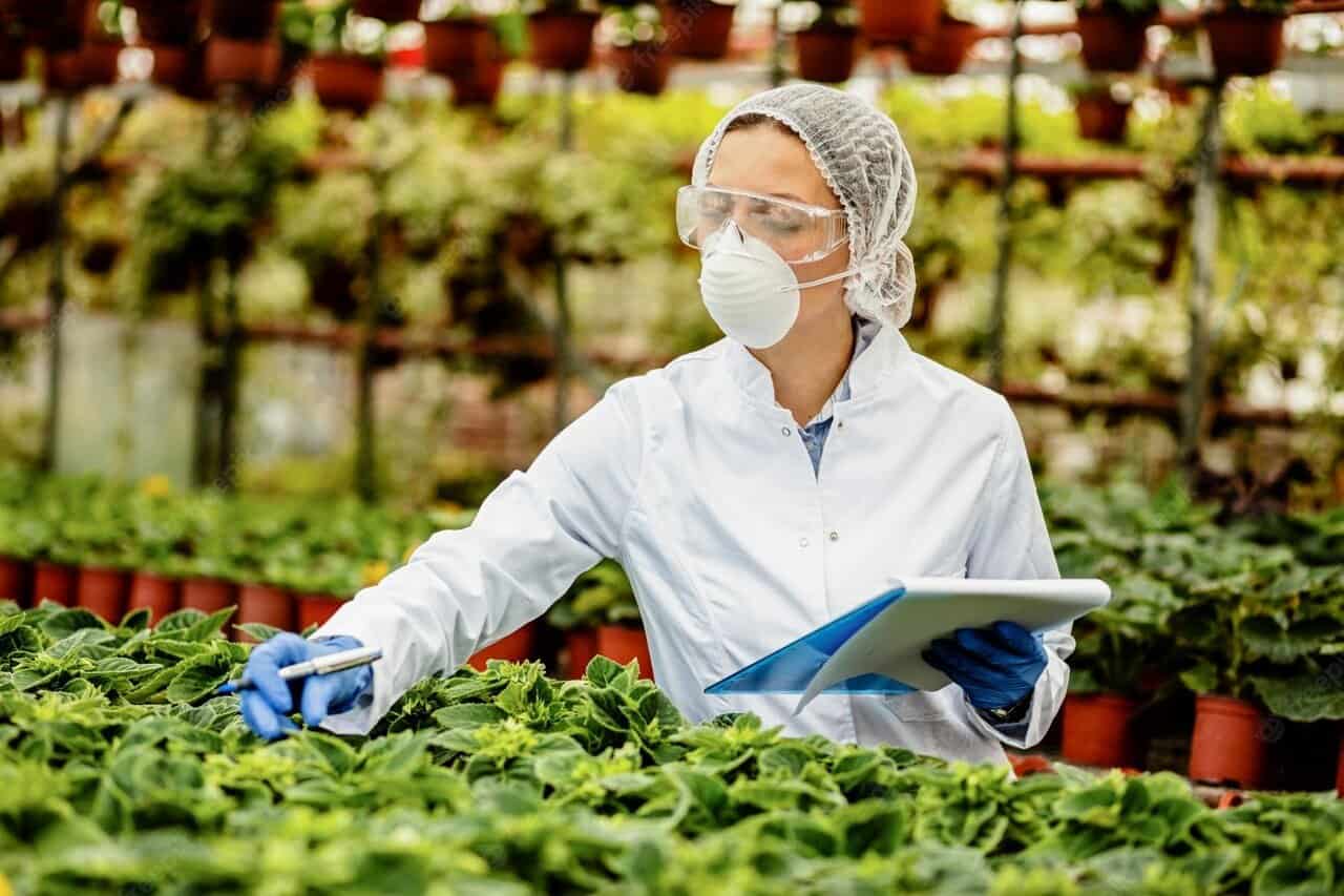 What Are Some Agriculture Jobs