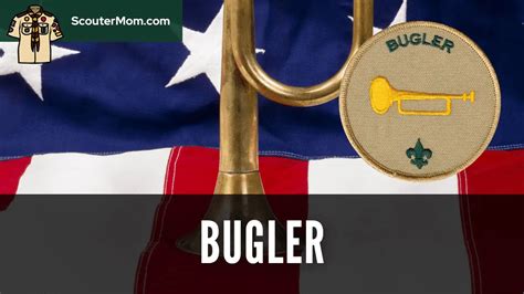 What Does Bugler Mean Alert Data What Does Bugler Mean Alert Data