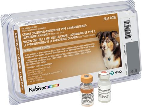 5 Tips Distemper Vaccine