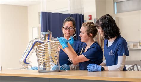 What Is Healthcare Workers Access Training