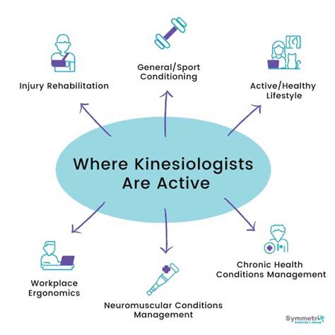What Is Kinesiology The Ultimate Guide Symmetrix What Is Kinesiology The Ultimate Guide Symmetrix