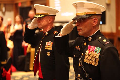 What Is Marine Job At Irene Holland Blog What Is Marine Job At Irene Holland Blog