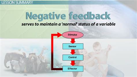 What Is Negative Feedback In Healthcare