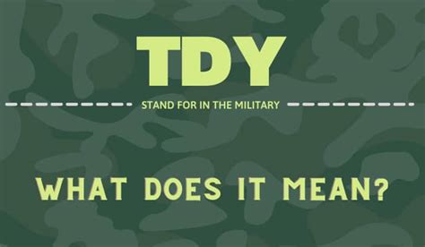 What Is Tdy Army