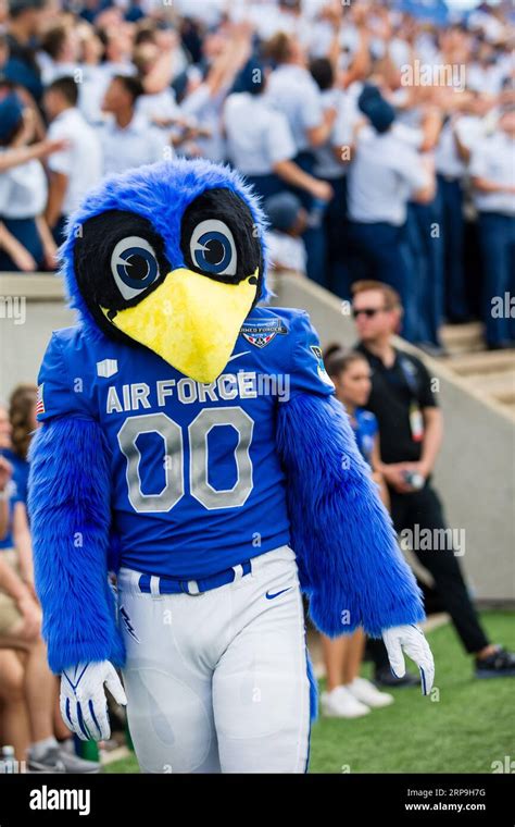 What Is The Airfoce Maskot