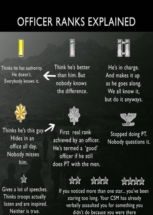What Is The Highest Rank In The Army Ultimate Military Rank Explained What Is The Highest Rank In The Army Ultimate Military Rank Explained