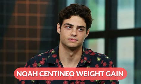 What Is The Secret Behind Noah Centineo Weight Gain All Updates What Is The Secret Behind Noah Centineo Weight Gain All Updates