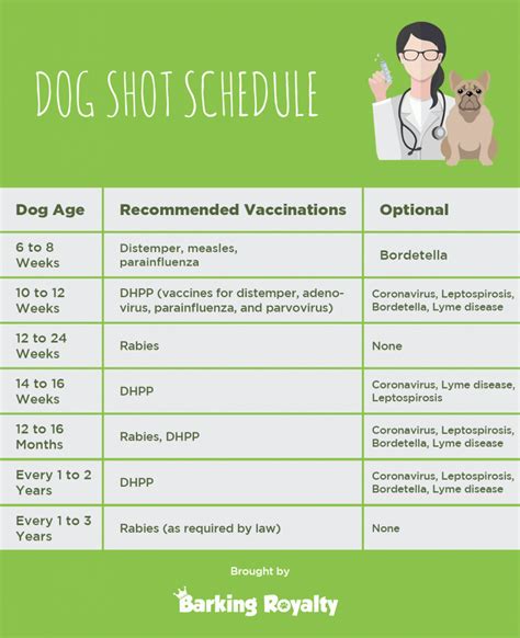 What Shots Do Dogs Need Yearly Annual Vaccines For Dogs What Shots Do Dogs Need Yearly Annual Vaccines For Dogs