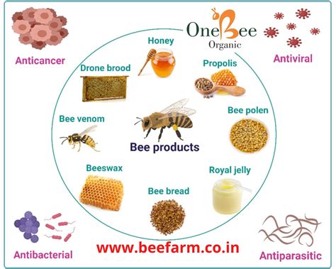 Where Is Honeybee Health Located