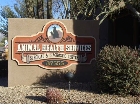 Where To Take Your Pet To The Vet In Scottsdale Az Animal Health Where To Take Your Pet To The Vet In Scottsdale Az Animal Health