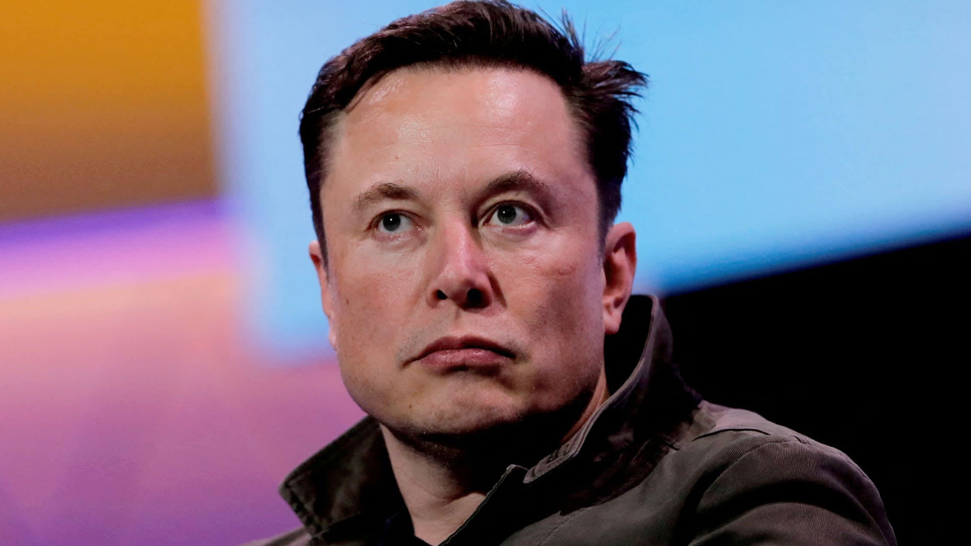 Elon Musk Dating Now