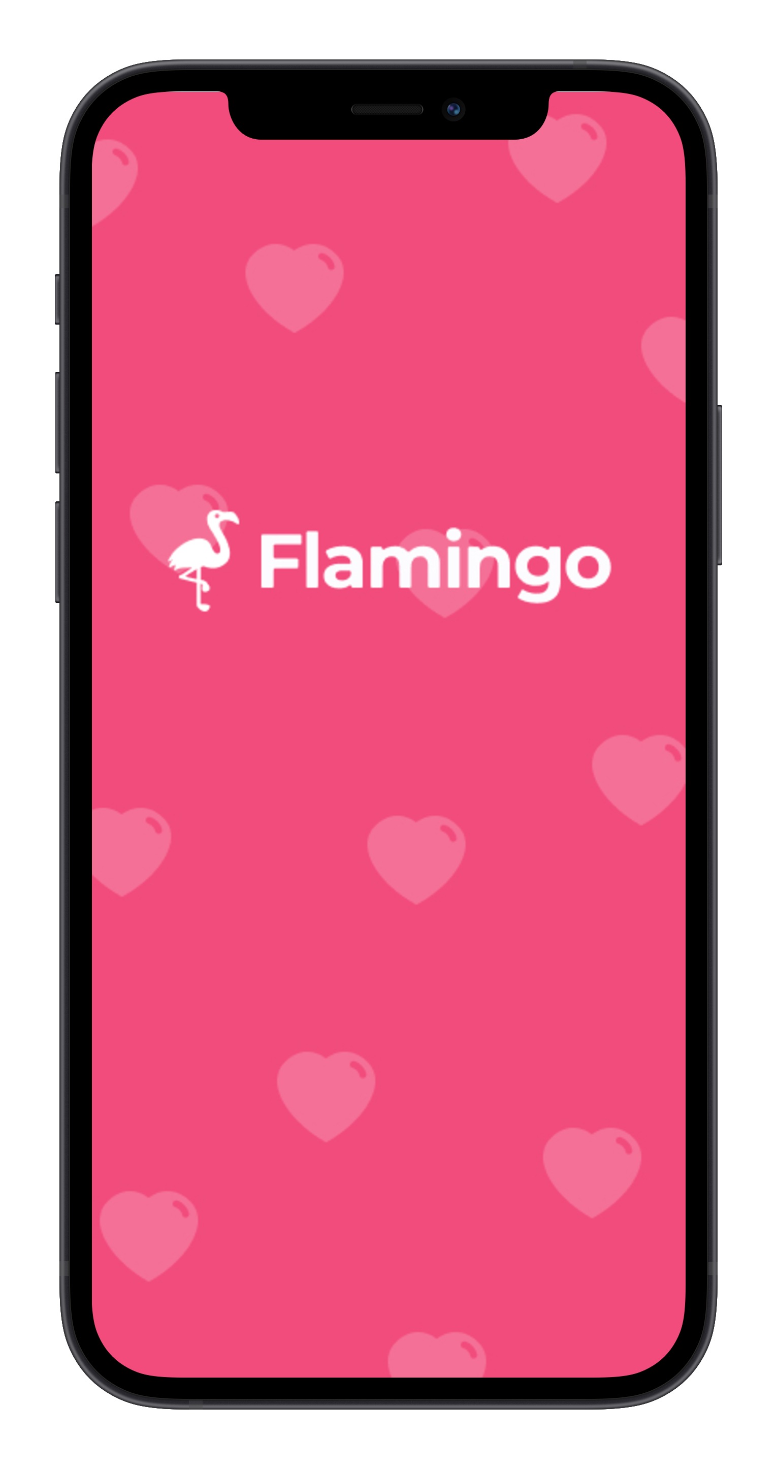 Flamingo Dating Life